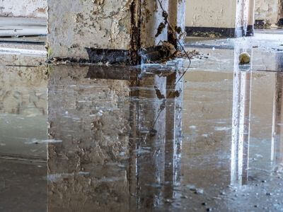 About water damage cleanup - ceiling water damage repair experts in Bellevue